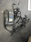 Mercury 2016 + L6 Verado Engine Wire Wiring Harness 250 275 300 350 400 Hp Used. Price: $399.00.